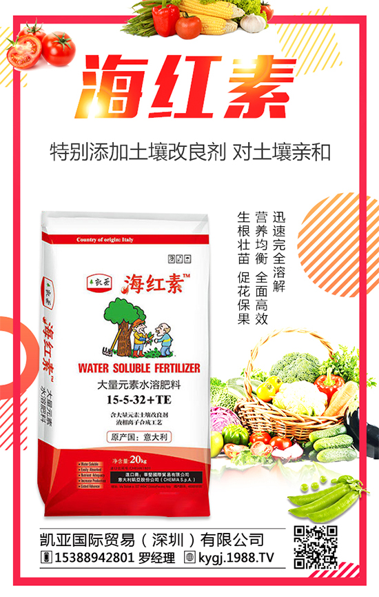 2020�껨���Nֲǰ�������������Nֲ�ĳɱ�������������	