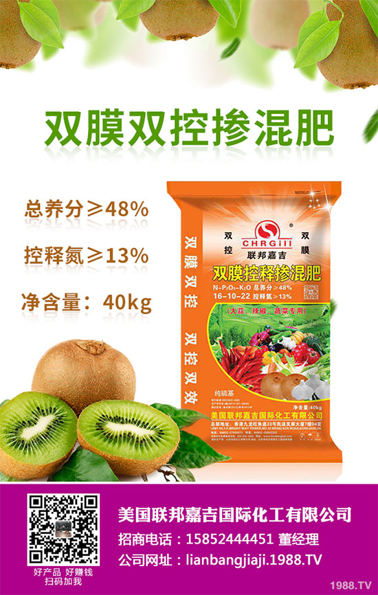 貢菊花該如何栽培？貢菊花高產(chǎn)栽培技術