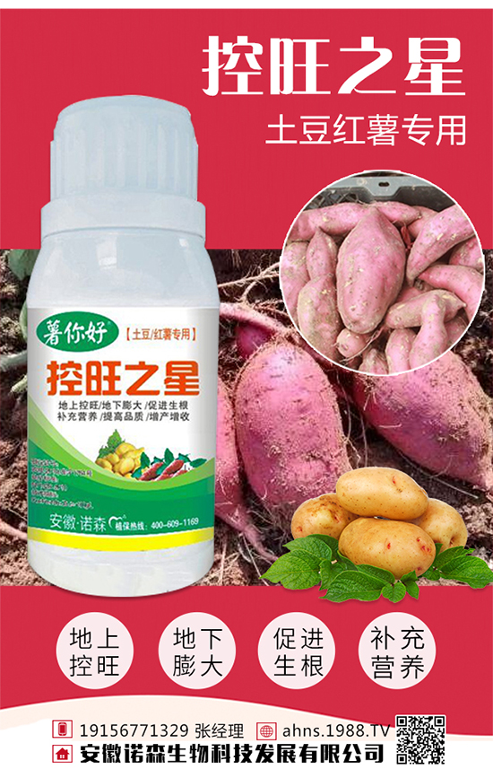 �t������r�g �t�����緽��