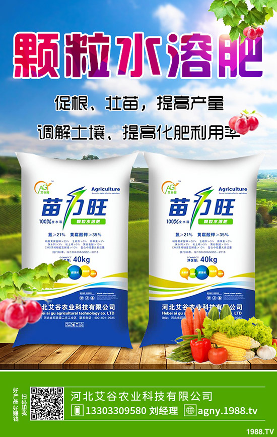 �����������������������؅�����r2019-12-19