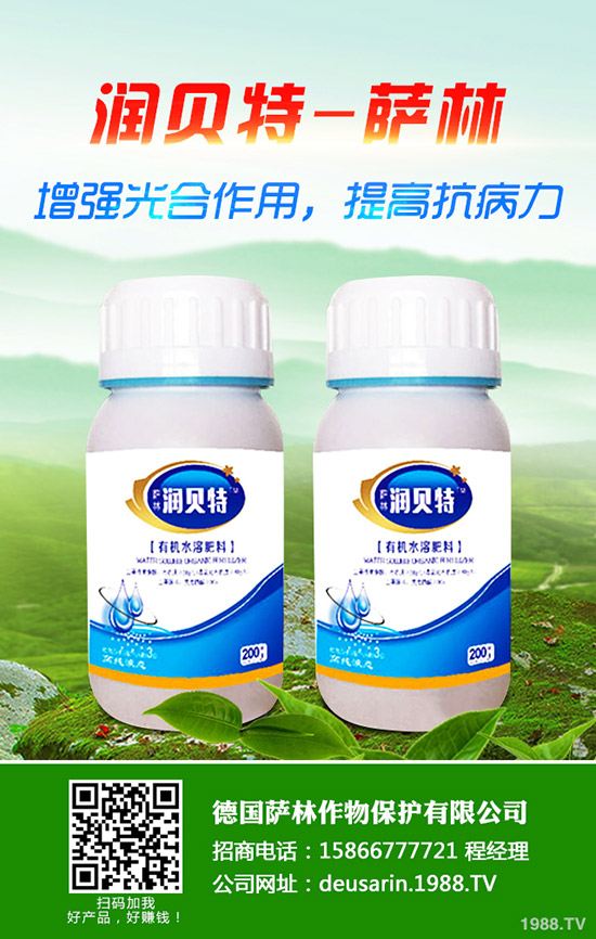 2019-12-19����(n��i)���؅^(q��)⛷�������rһ�[��