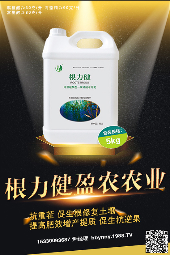     ������ȥ�������_�����_���Ϸ���ע�⡰���ɡ�