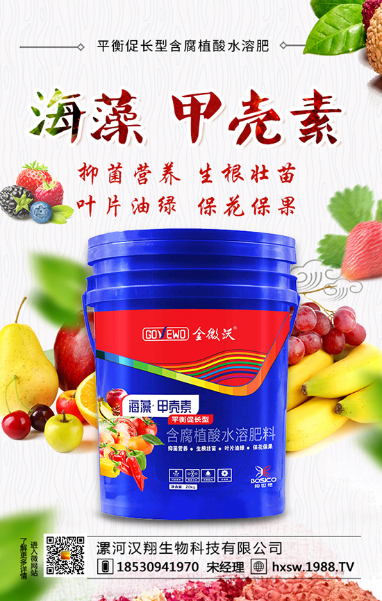 ���r�����̾W