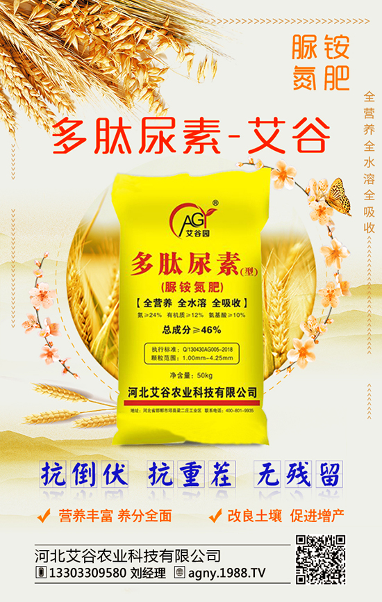 菌肥的種類(lèi)很多,他們當(dāng)中的菌類(lèi)作用您了解多少?