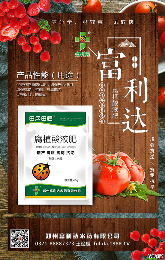 �Nֲʲôˎ����ٍ�X��2020����ˎ�ķNֲǰ������