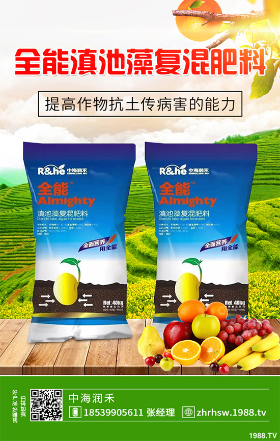 ���r����͸���������Щ�^(q��)�e���ǂ�Ч��������
