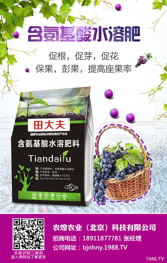 ��ѩ�^���߲˴�����֪��ԓ��ô�������