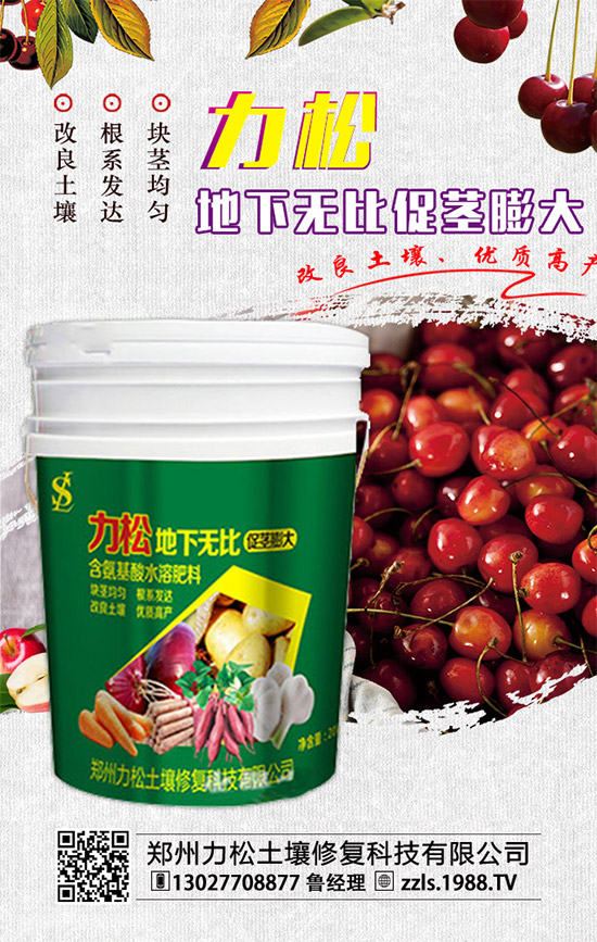     2019-12-4���@����(ch��)���M(j��n)��(d��ng)�����㣡���@�r(ji��)������������(b��o)��