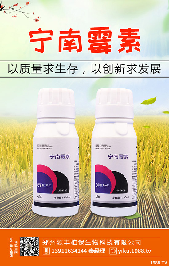 葛根的種植前景怎么樣,葛根的種植技術有哪些?