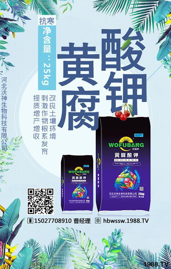 ��������Ч�ı��|(zh��)�چ�����������c�M�������a(ch��n)����
