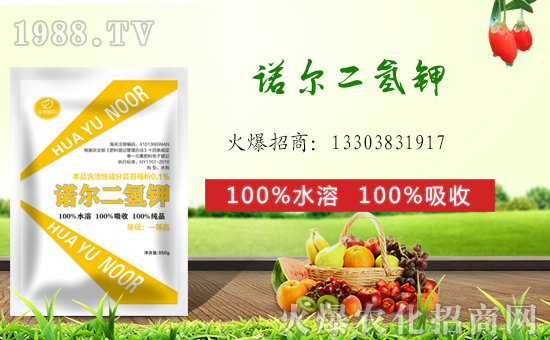 ��(zh��n)�Ժ���������(j��)�������Z�����H�y��1988.TV�ل�(chu��ng)���x����