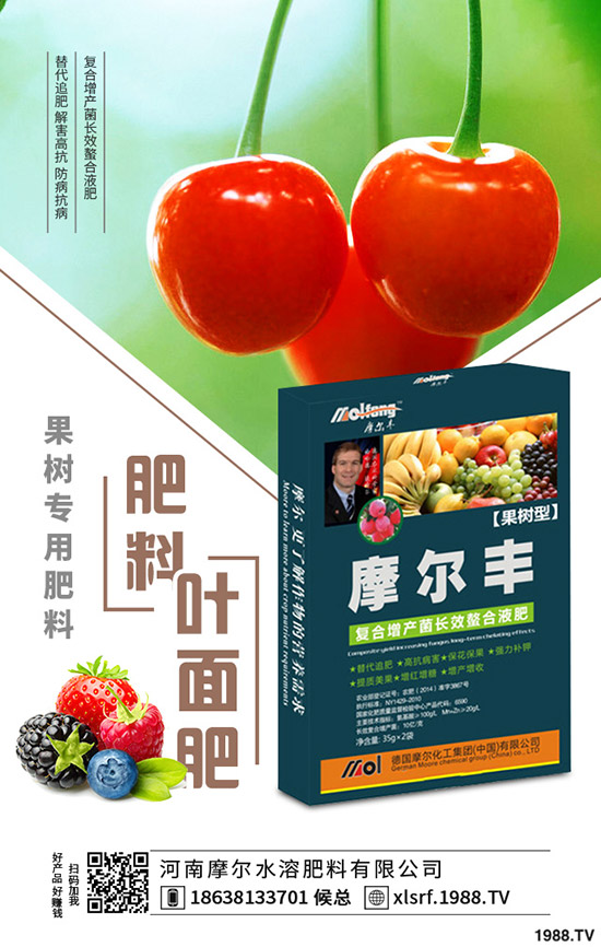 黃精種植到底掙不掙錢(qián)?黃精種植要點(diǎn)分析!