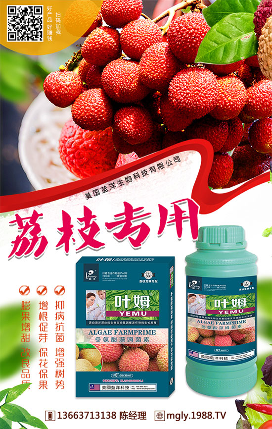 �t�탦�ص��������t�탦������Щ������