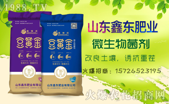 1988.TVϲӭ��������ɽ�|�Ζ|�ʘI(y��)���݁��u�����A2020��