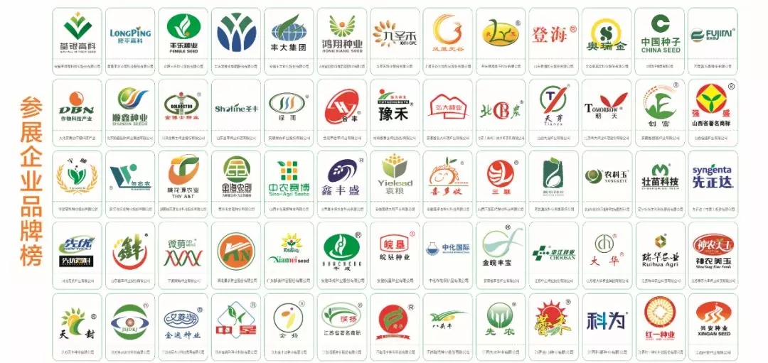 2019ȫ��(gu��)�N���p����(hu��)�όÅ�չ��I(y��)