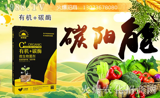 鄭州農(nóng)利達(dá)再度攜手1988.TV,開拓網(wǎng)絡(luò)招商新局面!