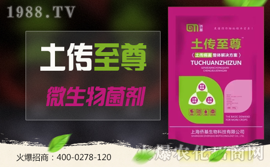 �Ϻ��S�������ٶȔy��1988.TV���y���ل�(chu��ng)���x����