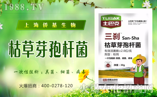 �Ϻ��S�������ٶȔy��1988.TV���y���ل�(chu��ng)���x�ͣ�