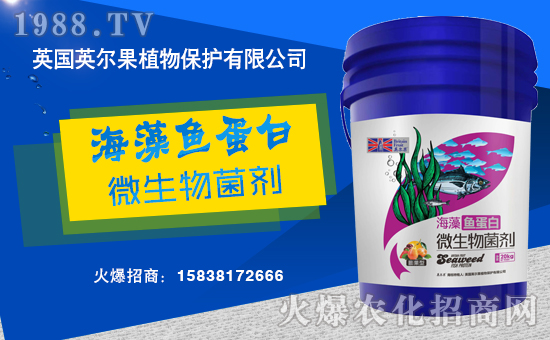 ������������Ӣ����ֲ��y���r(n��ng)���W(w��ng)�����W(w��ng)�j(lu��)����·��