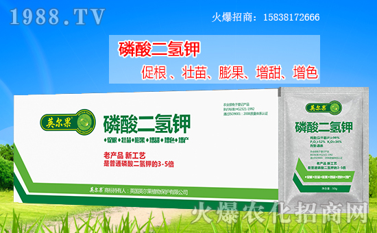 ������������Ӣ����ֲ��y���r(n��ng)���W(w��ng)�����W(w��ng)�j(lu��)����·��