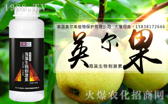 ������������Ӣ����ֲ��y���r(n��ng)���W(w��ng)�����W(w��ng)�j(lu��)����·��