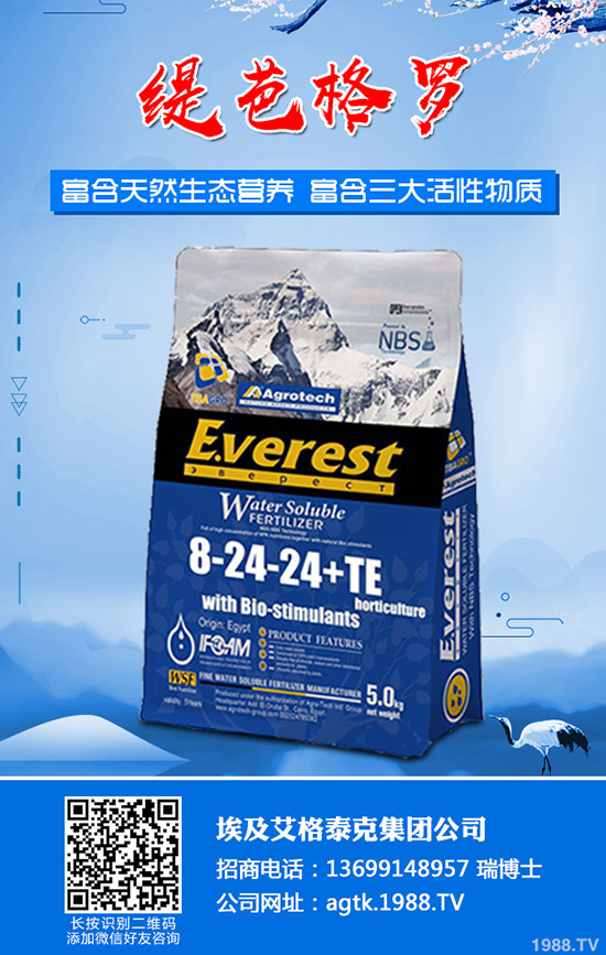 ����ʲô�r�g�������������緽��