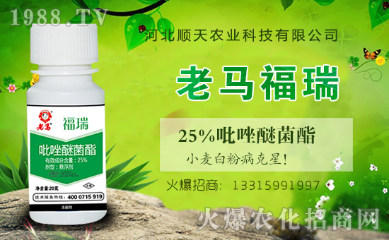 ���r(n��ng)���W(w��ng)�ٺ��ӱ�����r(n��ng)�I(y��)�����M��(zh��n)�Ժ�����������