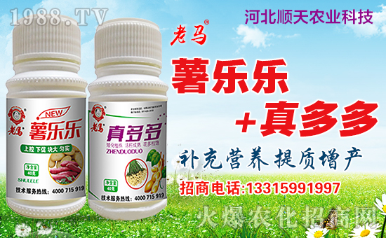 ���r(n��ng)���W(w��ng)�ٺ��ӱ�����r(n��ng)�I(y��)�����M��(zh��n)�Ժ�����������