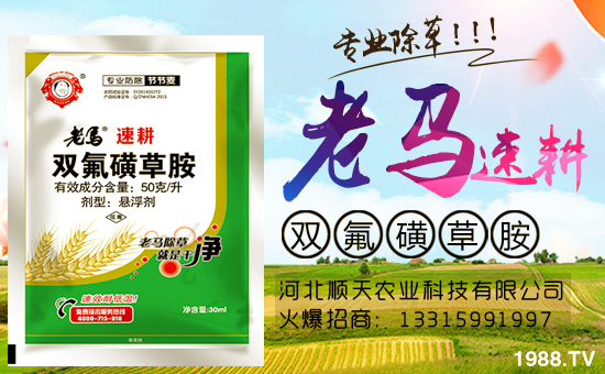 ���r(n��ng)���W(w��ng)�ٺ��ӱ�����r(n��ng)�I(y��)�����M��(zh��n)�Ժ�����������