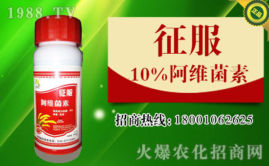 �����A�ć�(gu��)�W�ٺ����r(n��ng)���W(w��ng)������(sh��)�F(xi��n)�v�w��(m��ng)��