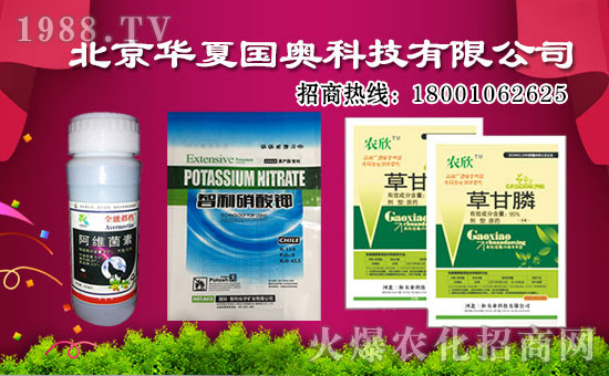 �����A�ć�(gu��)�W�ٺ����r(n��ng)���W(w��ng)������(sh��)�F(xi��n)�v�w��(m��ng)��