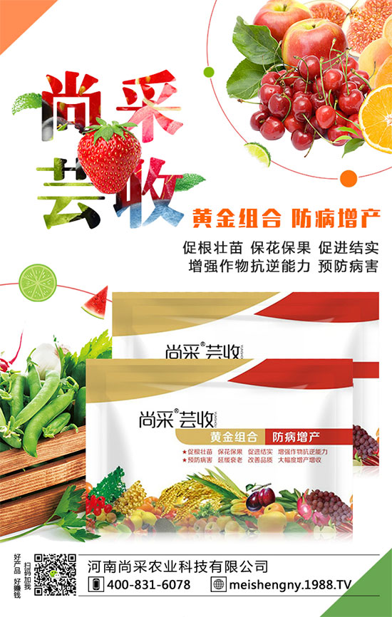 ���������ʵ͵�ԭ����ʲô�������������������ʣ�