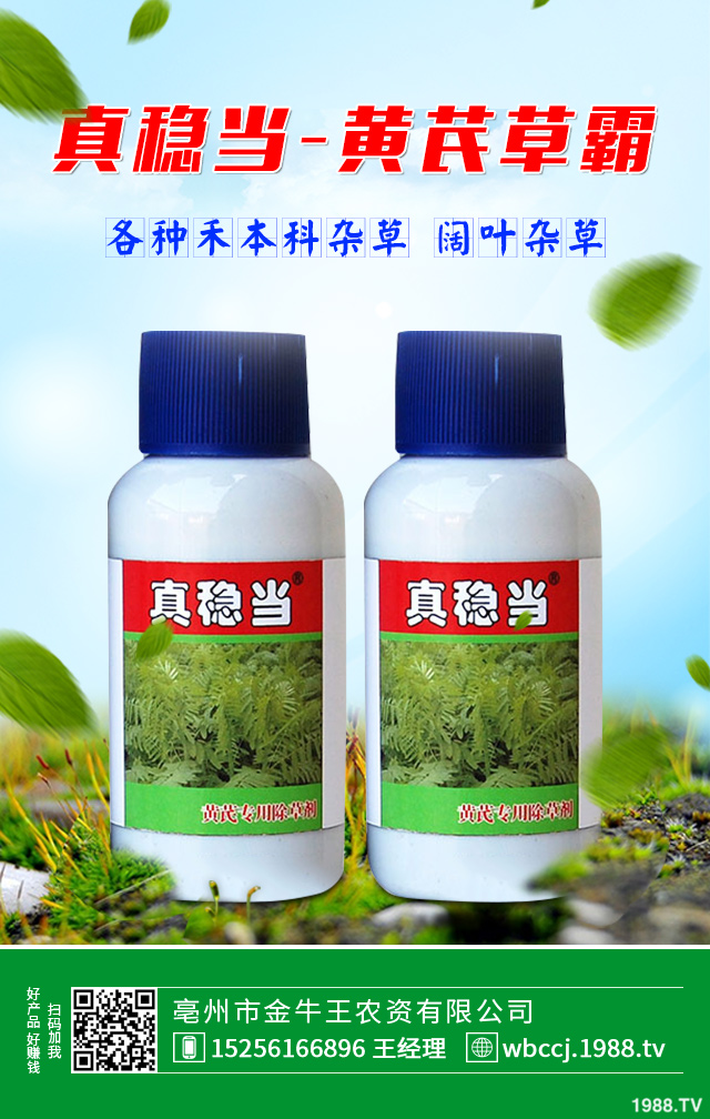 �������s����γ�ȥ����������ݼ���