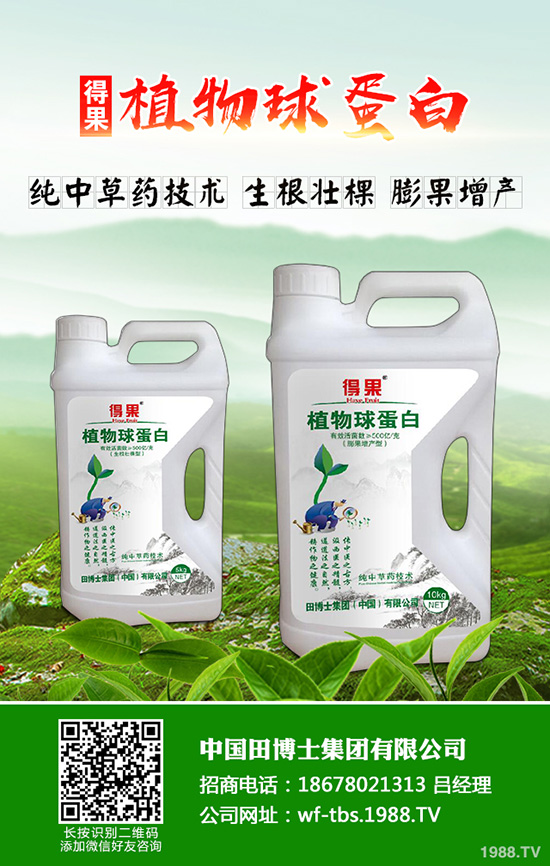 ����(n��i)���؃r(ji��)�������߄ݷ���2019.8.28