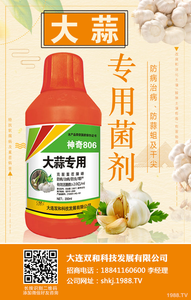 ��������ʲôԭ�t���������������ΰ�ԭ�t