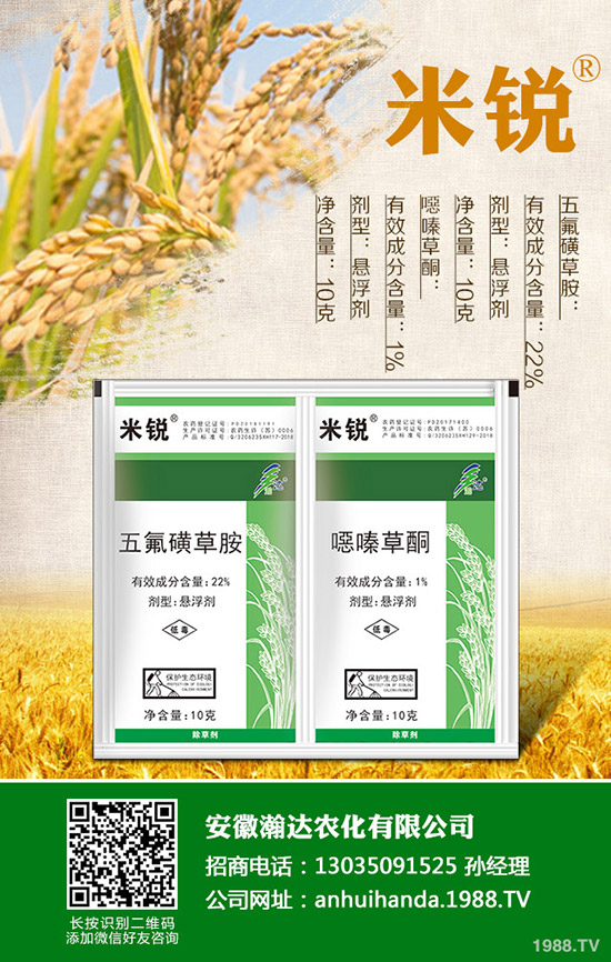 �Բ�������Щ��̎�����˵ĠI�B(y��ng)�rֵ����Щ��