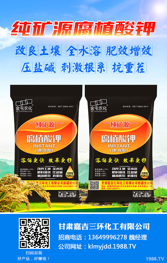     ���������ȏͺϷ��Ј��r���Ӎ2019-8-30