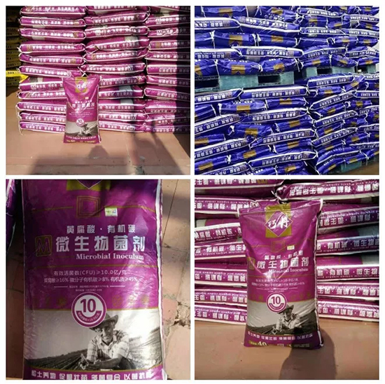 ��΢�������+�ЙC�ʡ�Ч��ţ����ʩһ���������ʡ���ָ߮a(ch��n)��