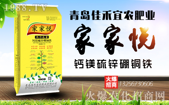 1988.TVϲӭ�����������u�Ѻ����r(n��ng)�ʘI(y��)���݁��u