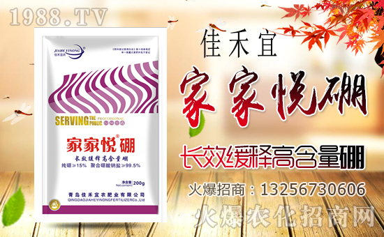 1988.TVϲӭ�����������u�Ѻ����r(n��ng)�ʘI(y��)���݁��u