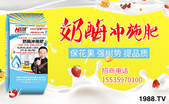 ɽ�����r(n��ng)���ٶȔy��1988.TV���_(k��i)�ؾW(w��ng)�j(lu��)�����¾�����