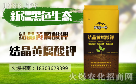 �½���ɫ���B(t��i)��(qi��ng)��(sh��)���v���r(n��ng)�����̾W(w��ng)����(sh��)�F(xi��n)��I(y��)�°l(f��)չ��