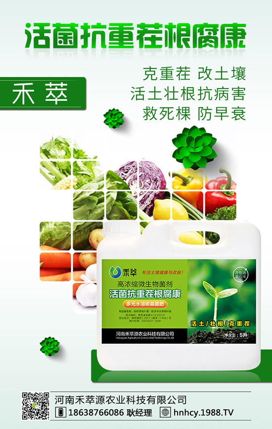 ����÷��ô�޽�������÷�޽ӷ�����