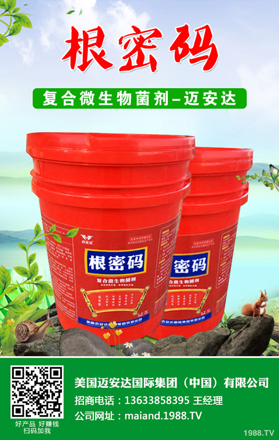 �����Jʲô�r��Nֲ�������J�Nֲ���g(sh��)��