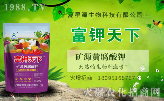 ��Դ�������v���r(n��ng)���W(w��ng)���_(k��i)���W(w��ng)�j(lu��)������������