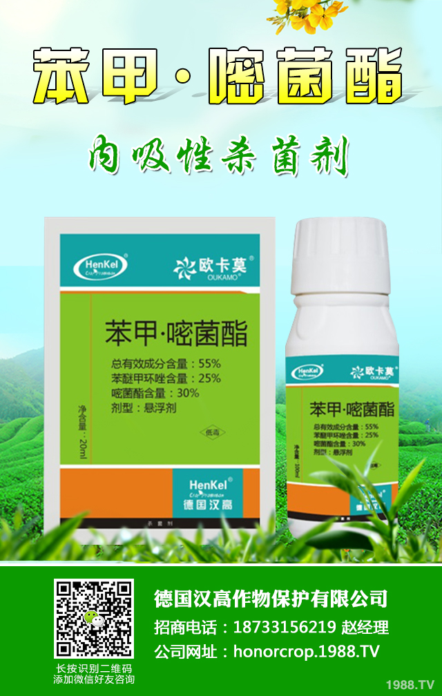 西葫蘆病害怎么辦?西葫蘆四大病害防治技巧