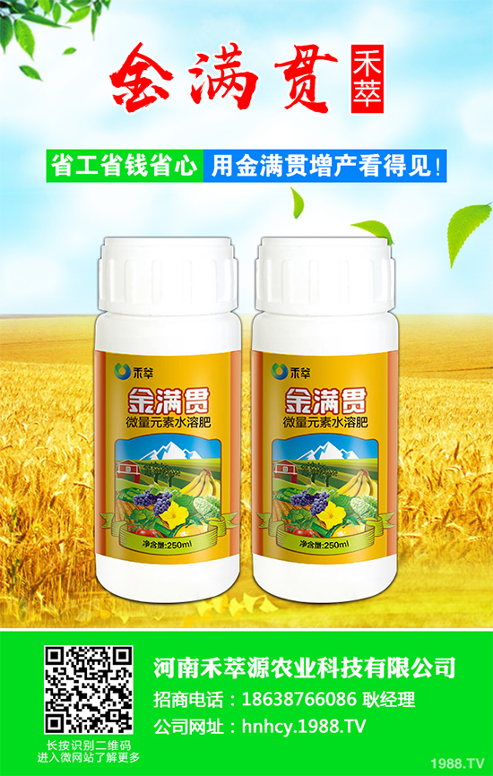 ���[ܛ����Σ���@ô��������ԓ��η��Σ����[ܛ�����İY����η���