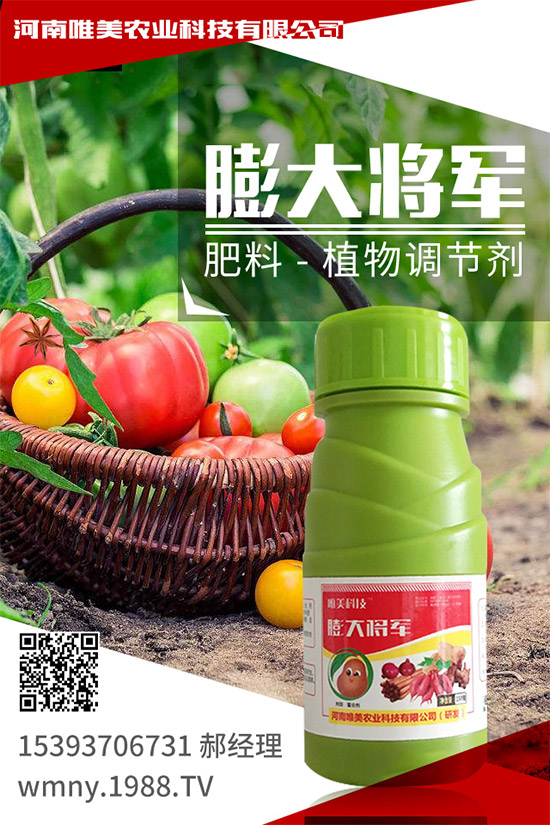 �＾���ҵĹ����(n��i)�����＾�����߲˷Nֲע�������