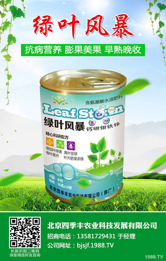 西瓜什么時候種植好?西瓜的種植時間和方法!