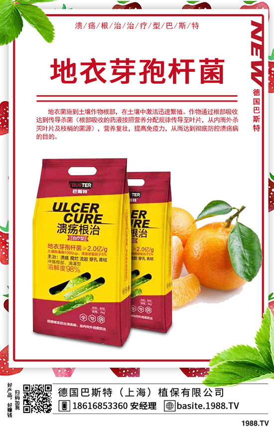 �t��̦��ô�N���t��̦�ķNֲ�r(sh��)�g���Nֲ������